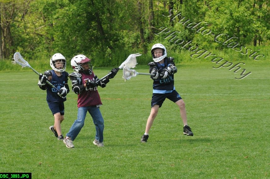 Albany Lacrosse Jamboree