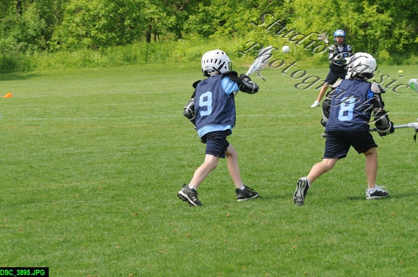 Albany Lacrosse Jamboree