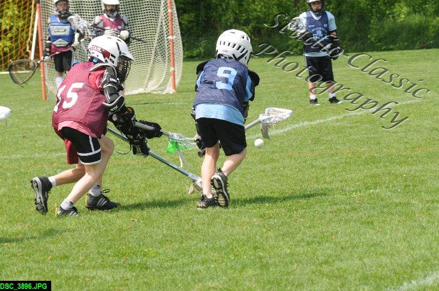 Albany Lacrosse Jamboree