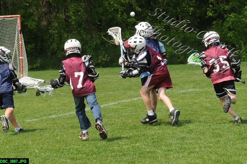 Albany Lacrosse Jamboree