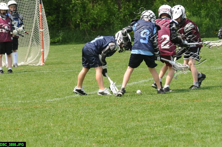 Albany Lacrosse Jamboree