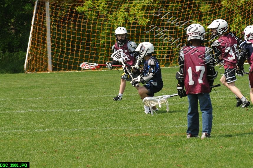 Albany Lacrosse Jamboree