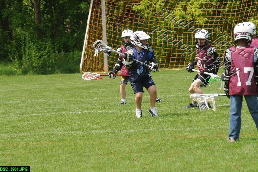 Albany Lacrosse Jamboree