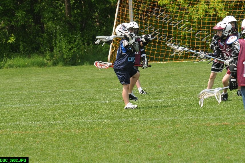Albany Lacrosse Jamboree