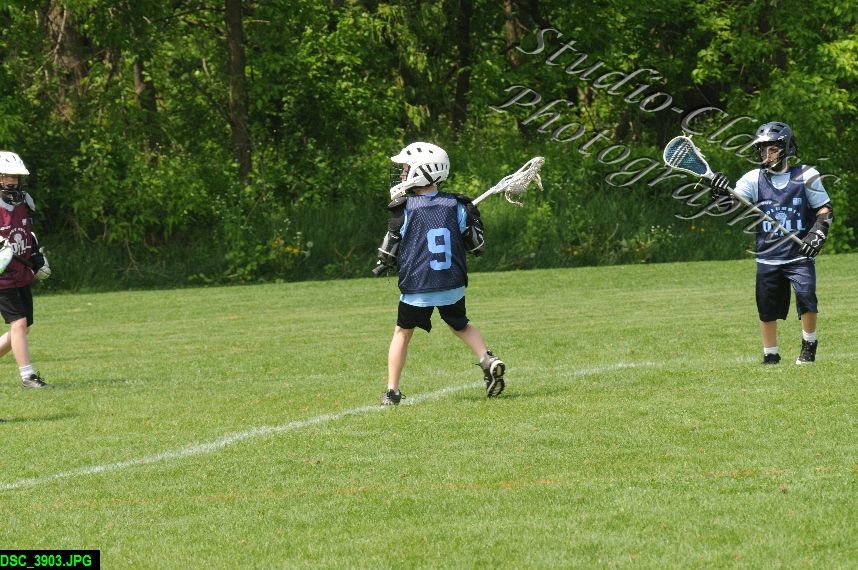 Albany Lacrosse Jamboree