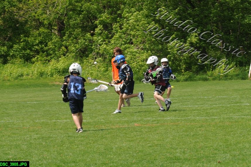 Albany Lacrosse Jamboree