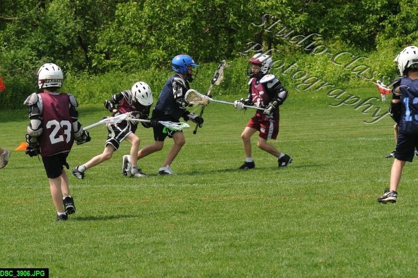 Albany Lacrosse Jamboree