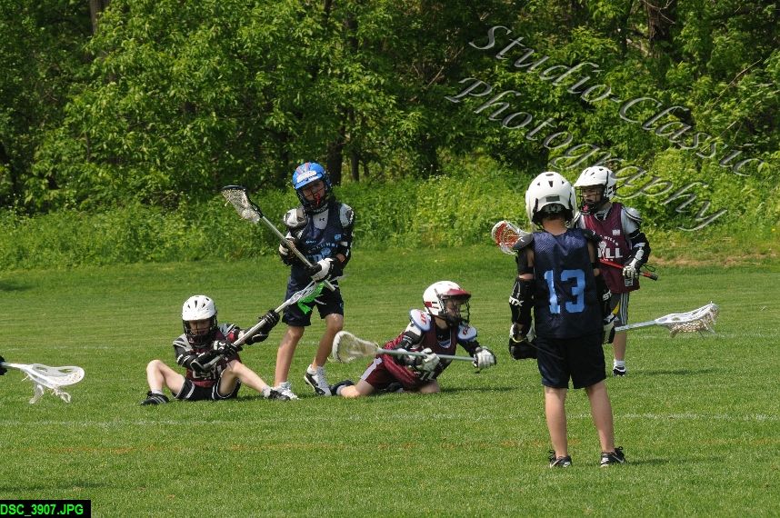 Albany Lacrosse Jamboree