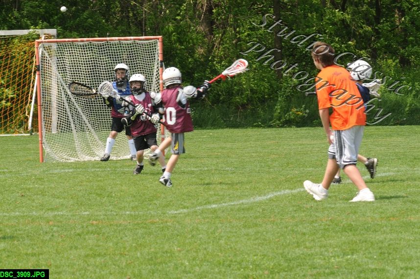 Albany Lacrosse Jamboree