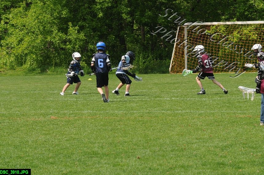 Albany Lacrosse Jamboree