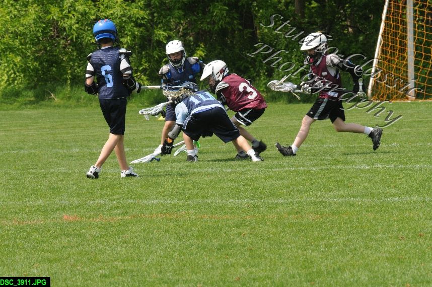 Albany Lacrosse Jamboree