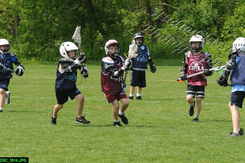 Albany Lacrosse Jamboree
