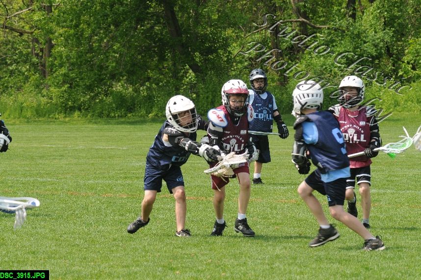 Albany Lacrosse Jamboree