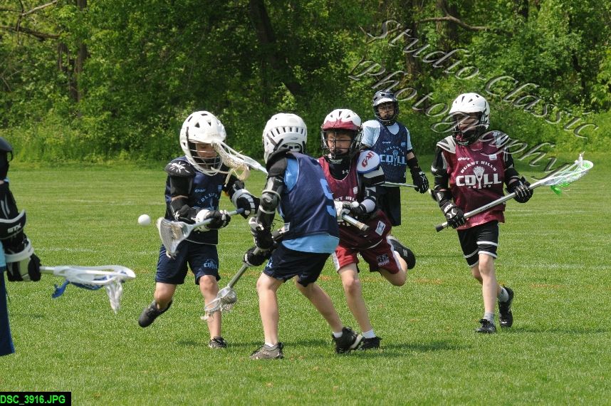 Albany Lacrosse Jamboree