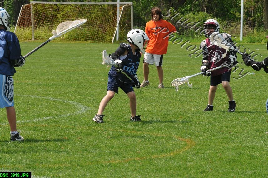 Albany Lacrosse Jamboree