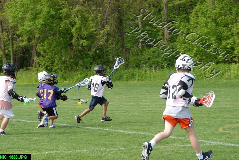 Albany Lacrosse Jamboree