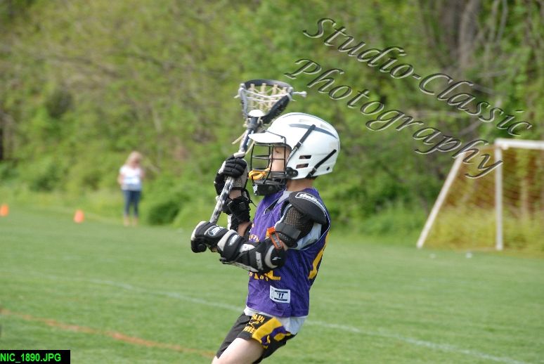 Albany Lacrosse Jamboree