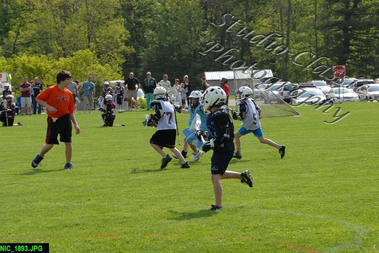 Albany Lacrosse Jamboree