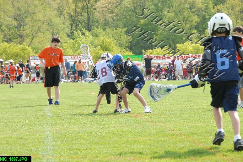Albany Lacrosse Jamboree