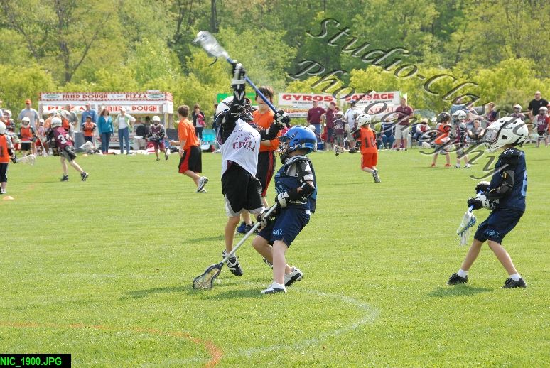 Albany Lacrosse Jamboree