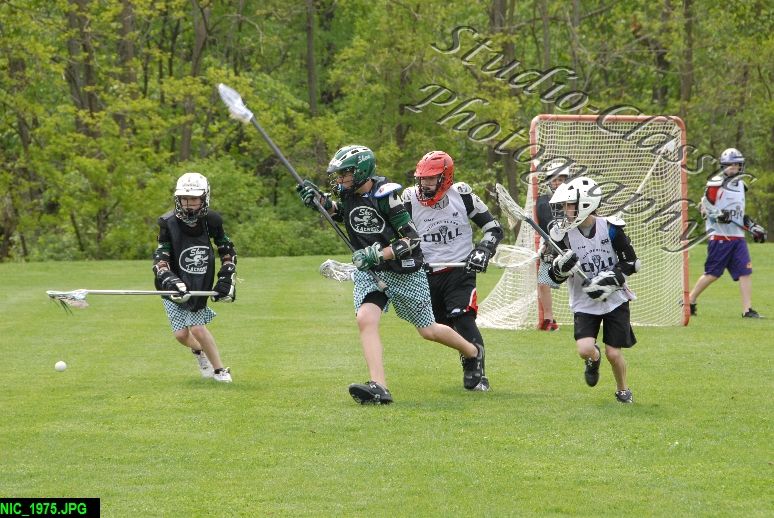 Albany Lacrosse Jamboree
