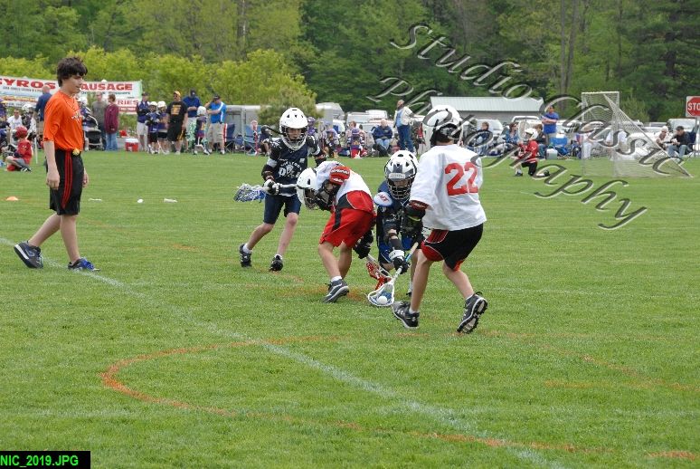 Albany Lacrosse Jamboree