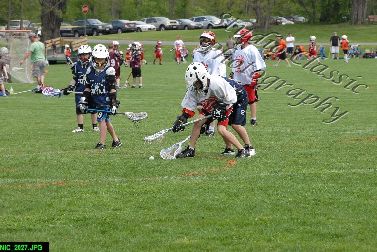 Albany Lacrosse Jamboree