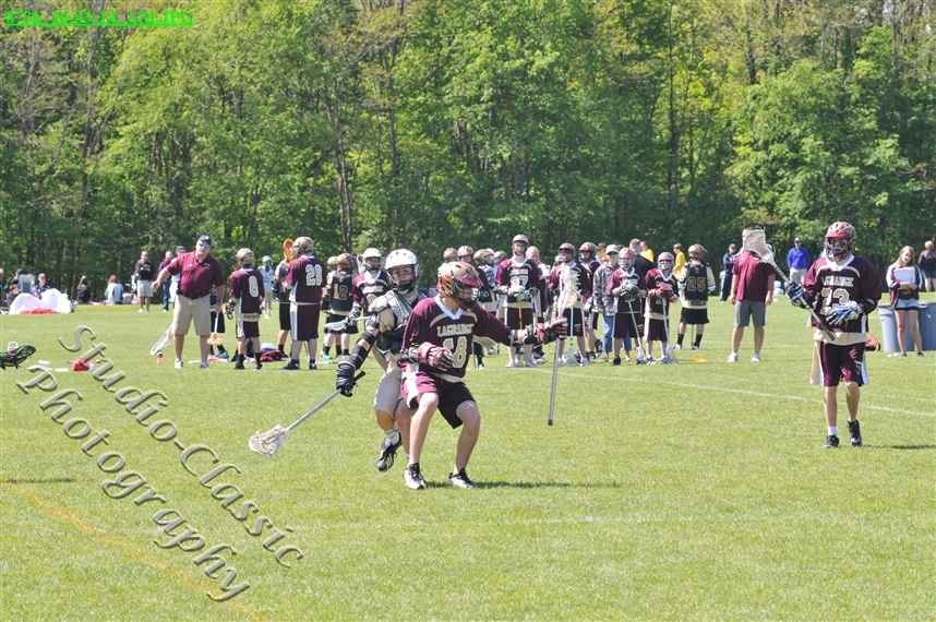 Guilderland Lacrosse Jamboree