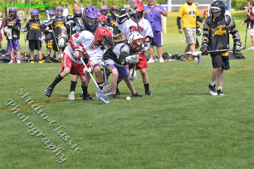 Guilderland Lacrosse Jamboree