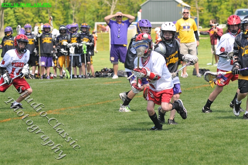 Guilderland Lacrosse Jamboree