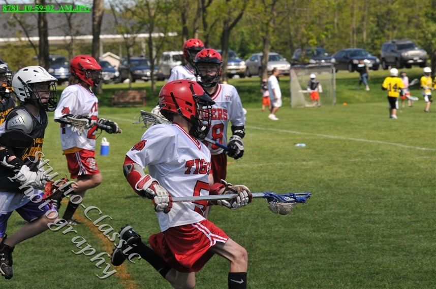 Guilderland Lacrosse Jamboree
