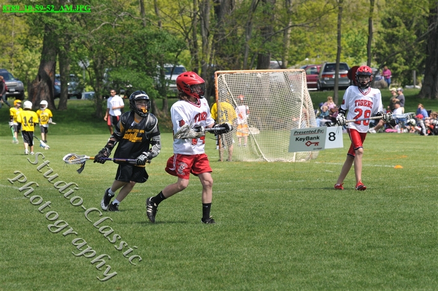 Guilderland Lacrosse Jamboree