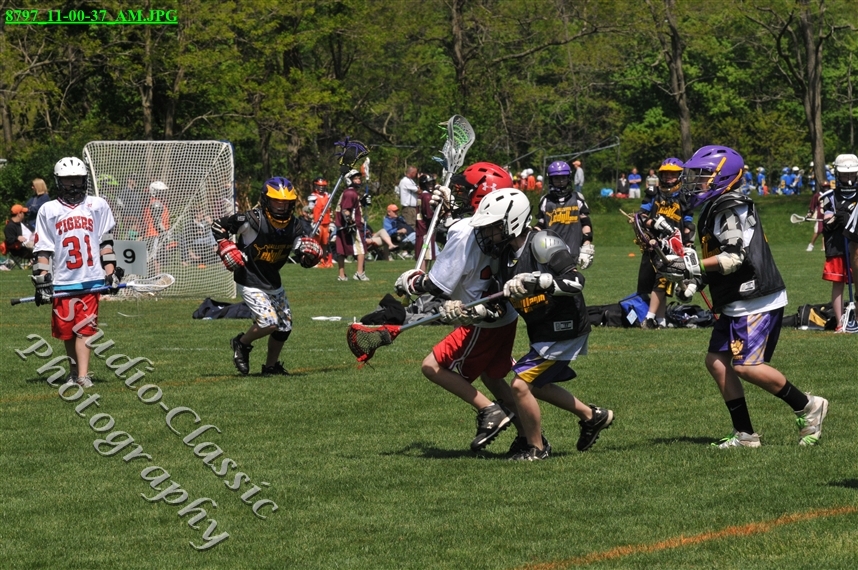 Guilderland Lacrosse Jamboree