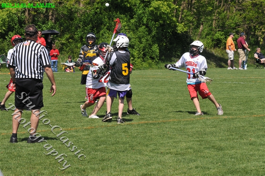 Guilderland Lacrosse Jamboree