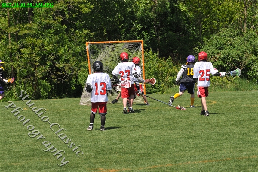 Guilderland Lacrosse Jamboree