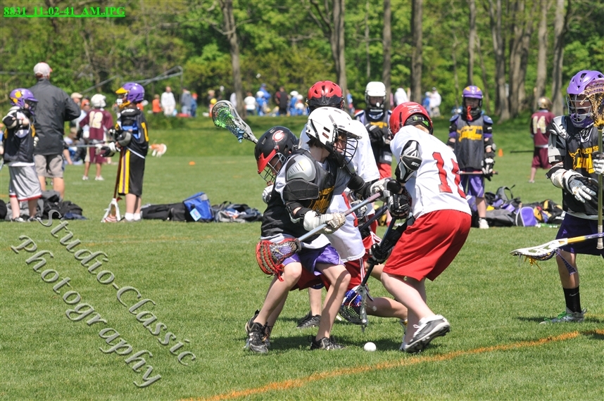 Guilderland Lacrosse Jamboree