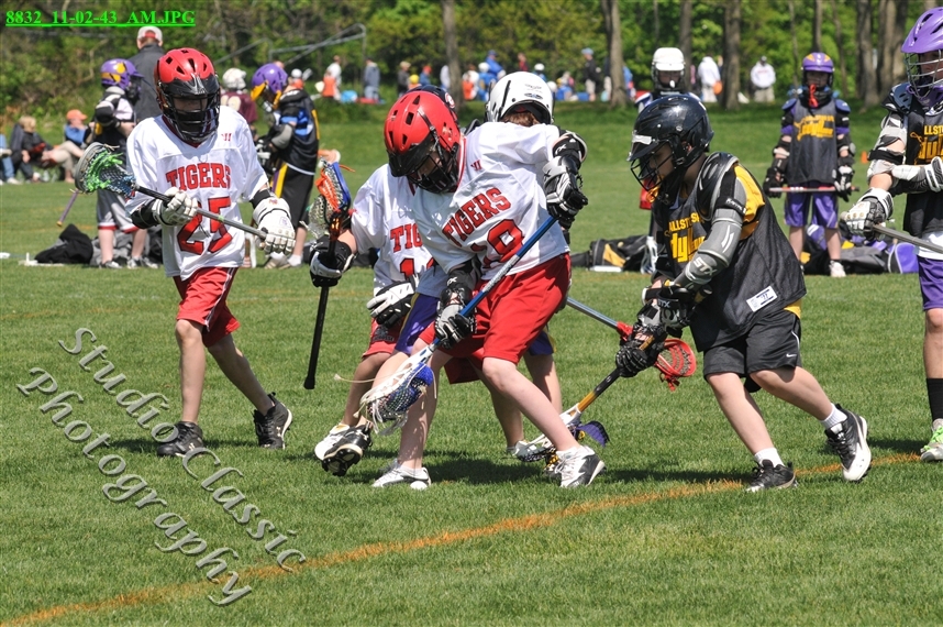 Guilderland Lacrosse Jamboree