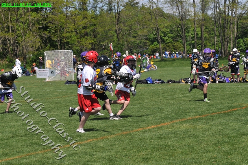 Guilderland Lacrosse Jamboree