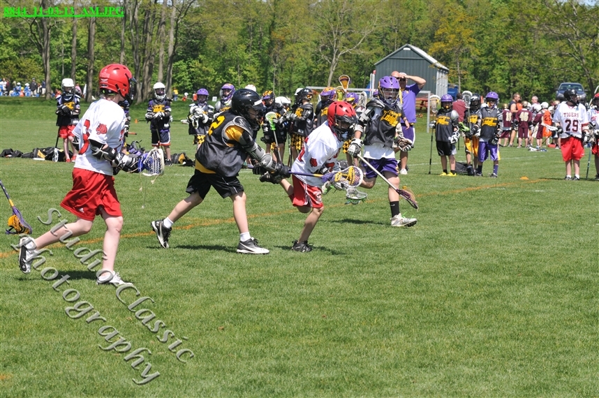 Guilderland Lacrosse Jamboree