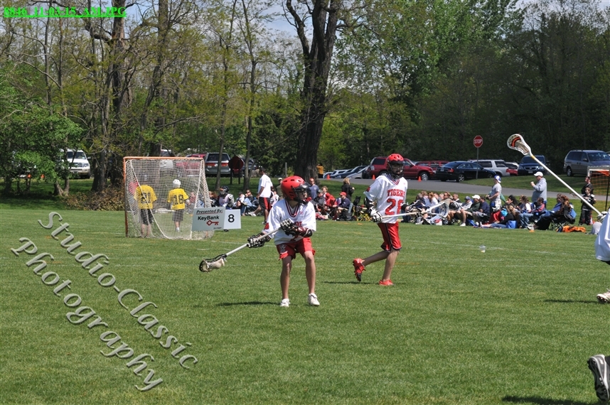 Guilderland Lacrosse Jamboree