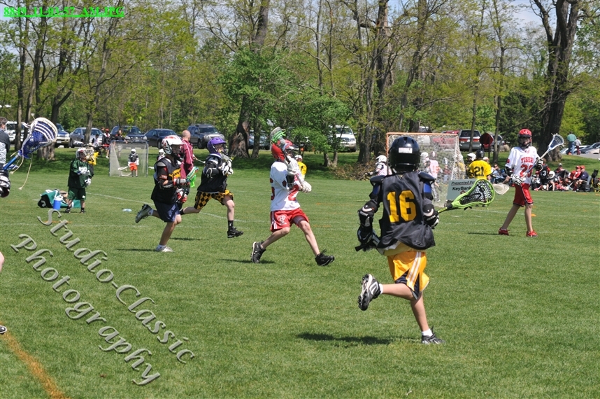 Guilderland Lacrosse Jamboree