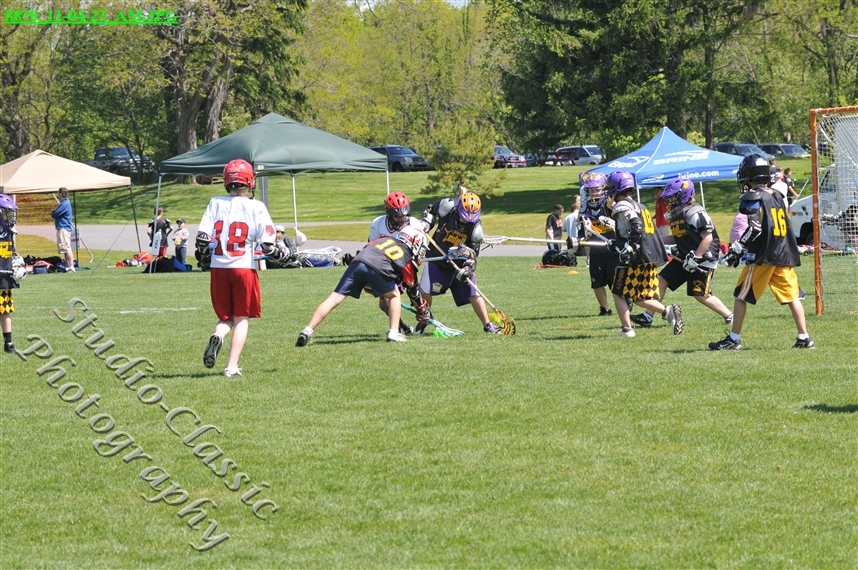 Guilderland Lacrosse Jamboree