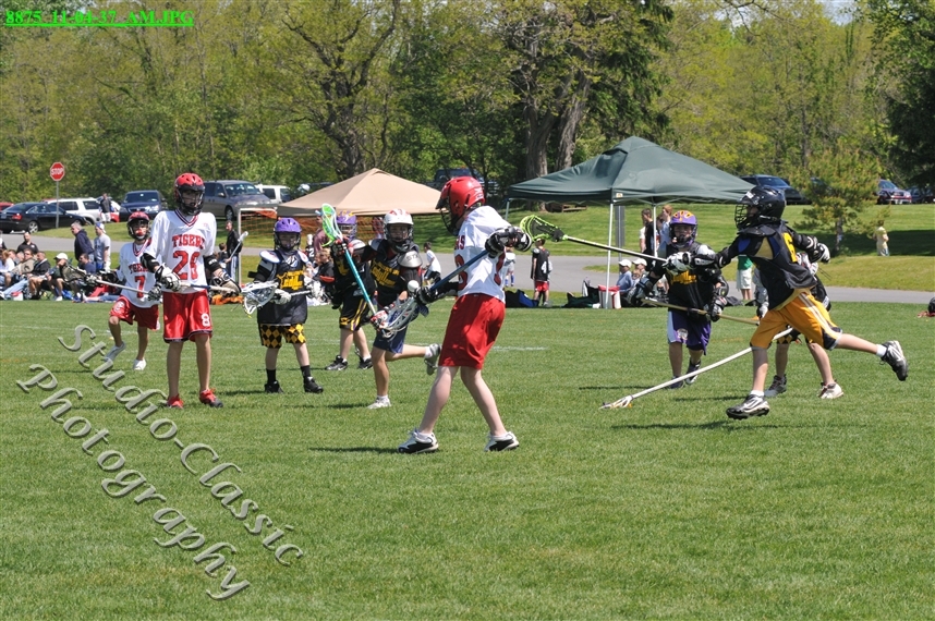 Guilderland Lacrosse Jamboree