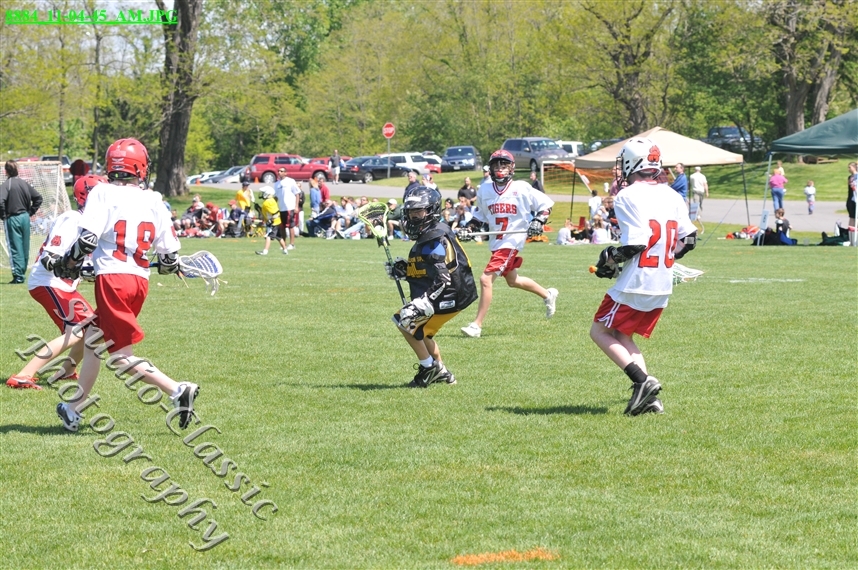 Guilderland Lacrosse Jamboree