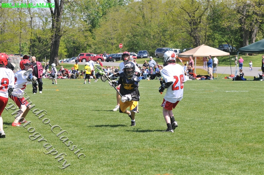 Guilderland Lacrosse Jamboree