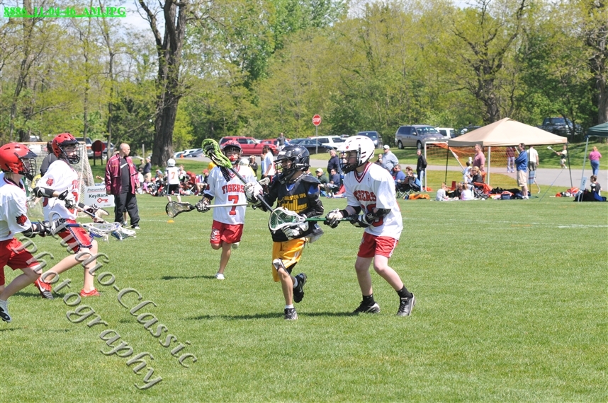 Guilderland Lacrosse Jamboree