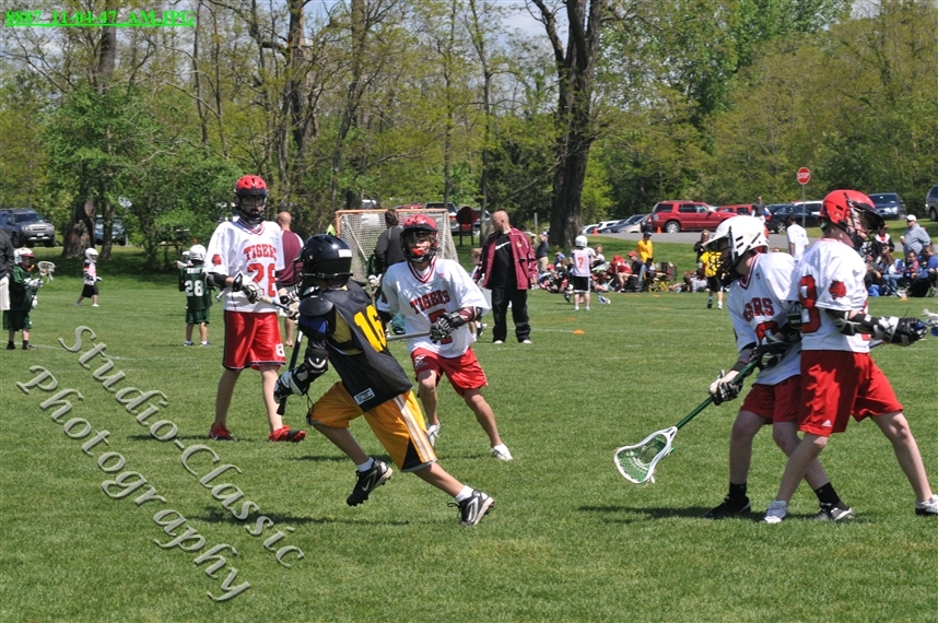 Guilderland Lacrosse Jamboree