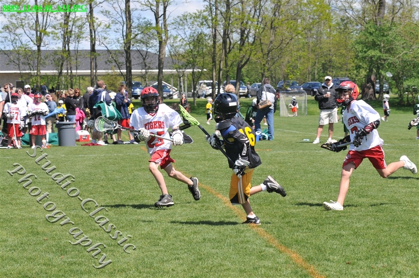 Guilderland Lacrosse Jamboree