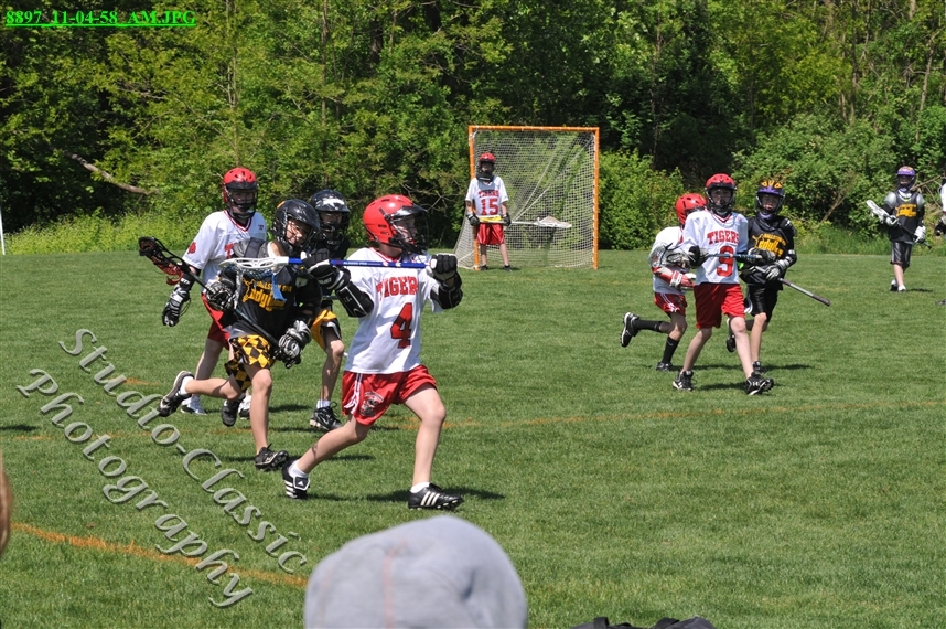 Guilderland Lacrosse Jamboree
