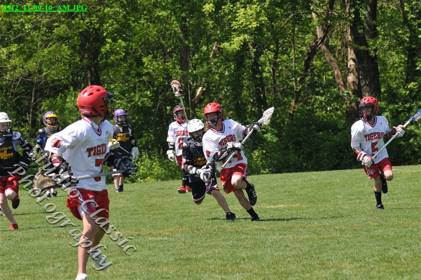 Guilderland Lacrosse Jamboree